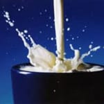 Entenda a intolerância a lactose - destacada