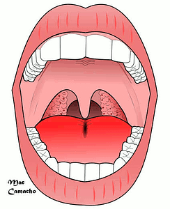 esquema de boca e garganta