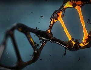 DNA um perfeito e fantástico arquivo digital