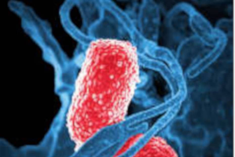 Pneumo 10 protege criança de bactéria que pode ser letal - destacada