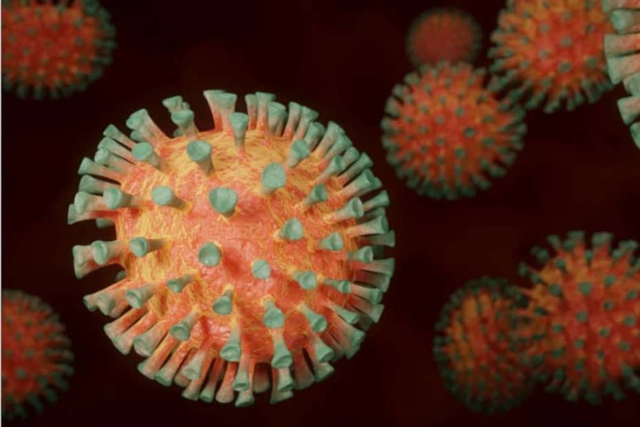 O que são coronavírus?
